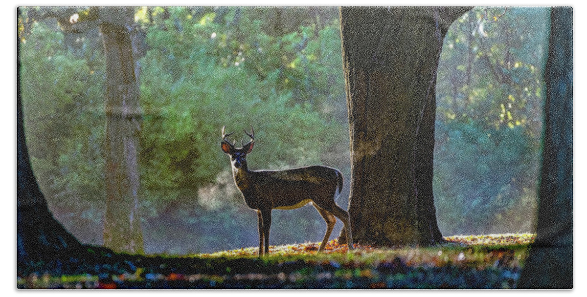 White Tailed Deer Beach Towel featuring the photograph Buck Breath by Sandra Rust