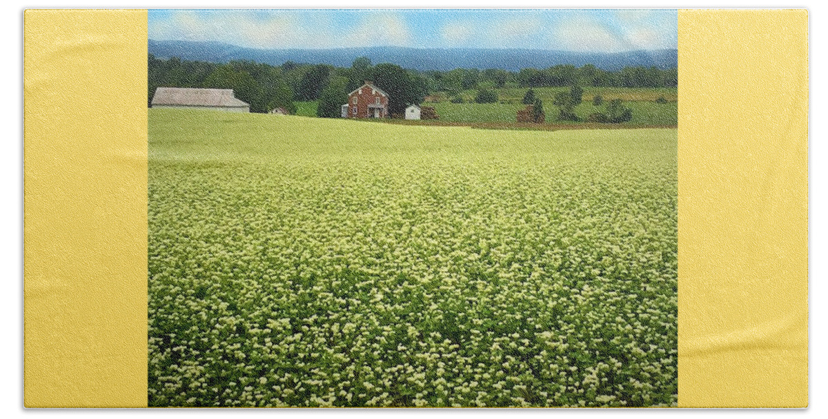 Farm Beach Towel featuring the photograph Buckwheat in Bloom in Pennsylvania by Angela Davies