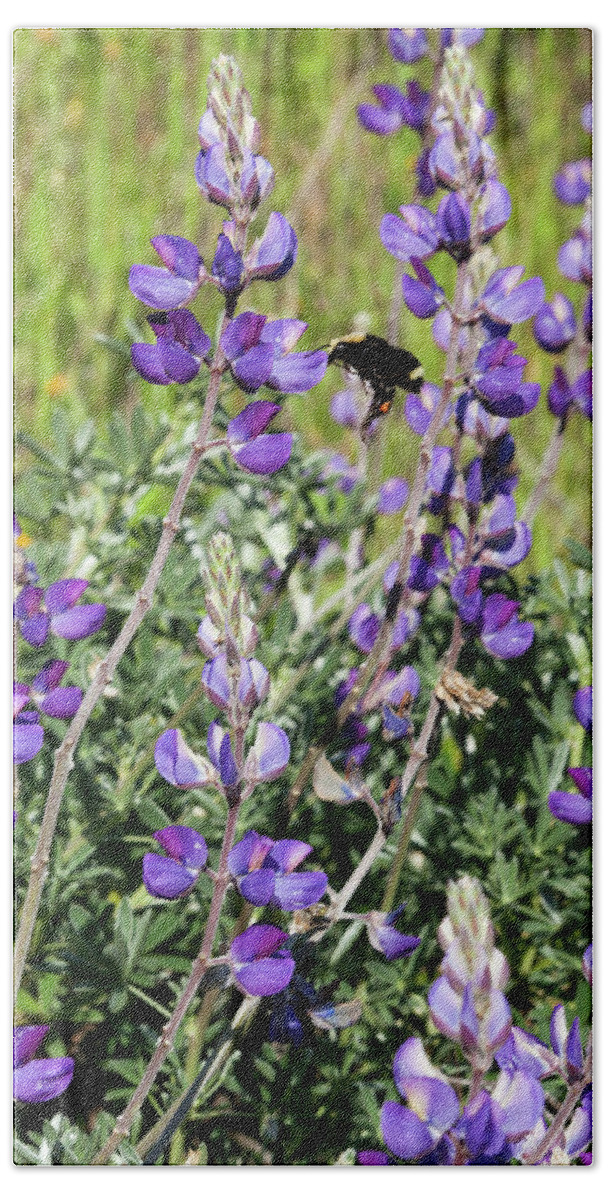 Wildflowers Beach Sheet featuring the photograph Bumblebee and Sage by Rick Pisio
