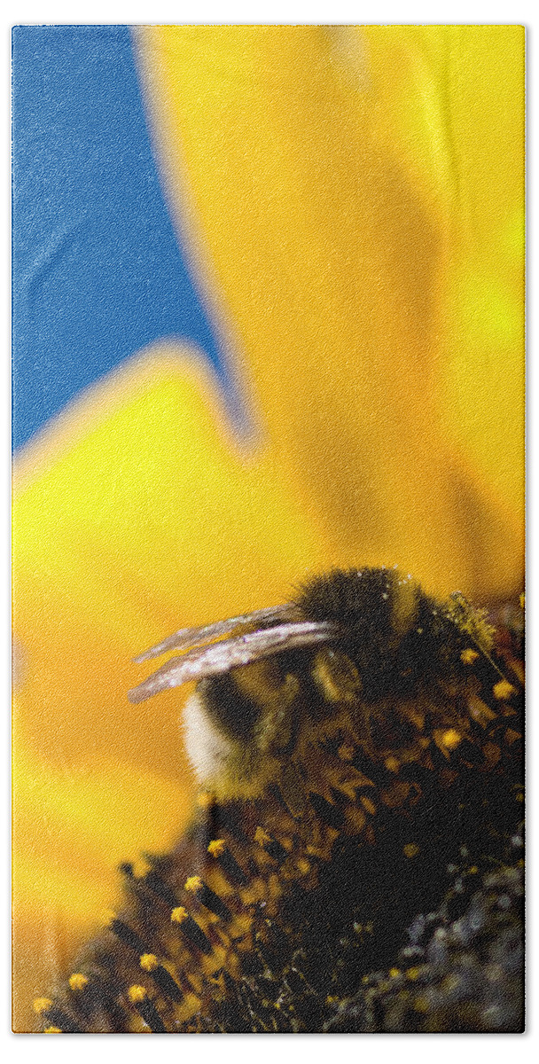Bumblebee Beach Towel featuring the digital art Bumblebee by Geir Rosset