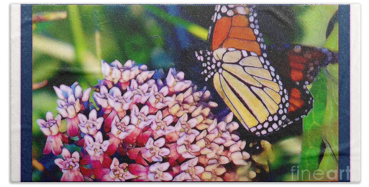  Beach Towel featuring the photograph Butterfly Day by Shirley Moravec