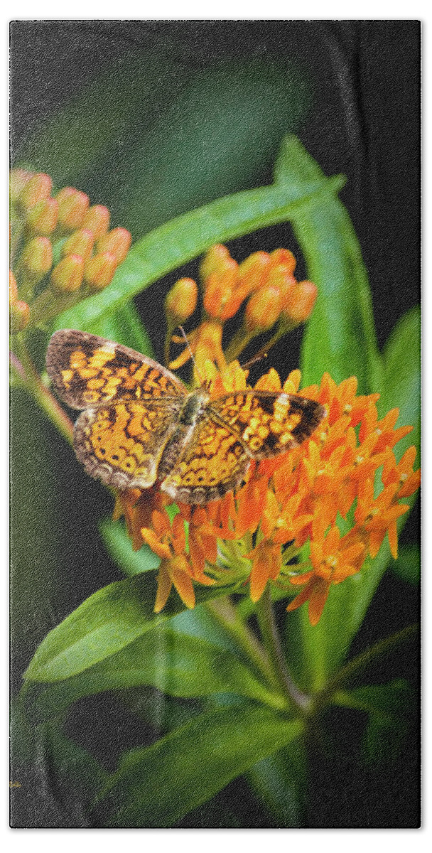 Butterfly On Flower Beach Sheet featuring the photograph Butterfly on Flower by Christina Rollo