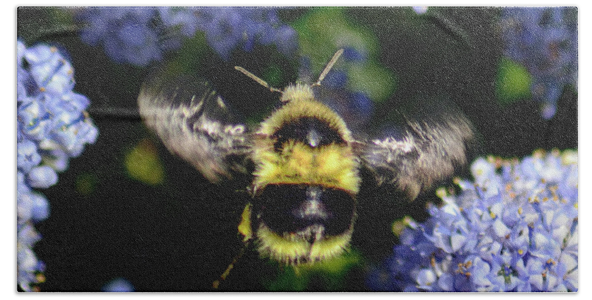 Pollinator Beach Towel featuring the photograph Buzzing Around by Brian Tada