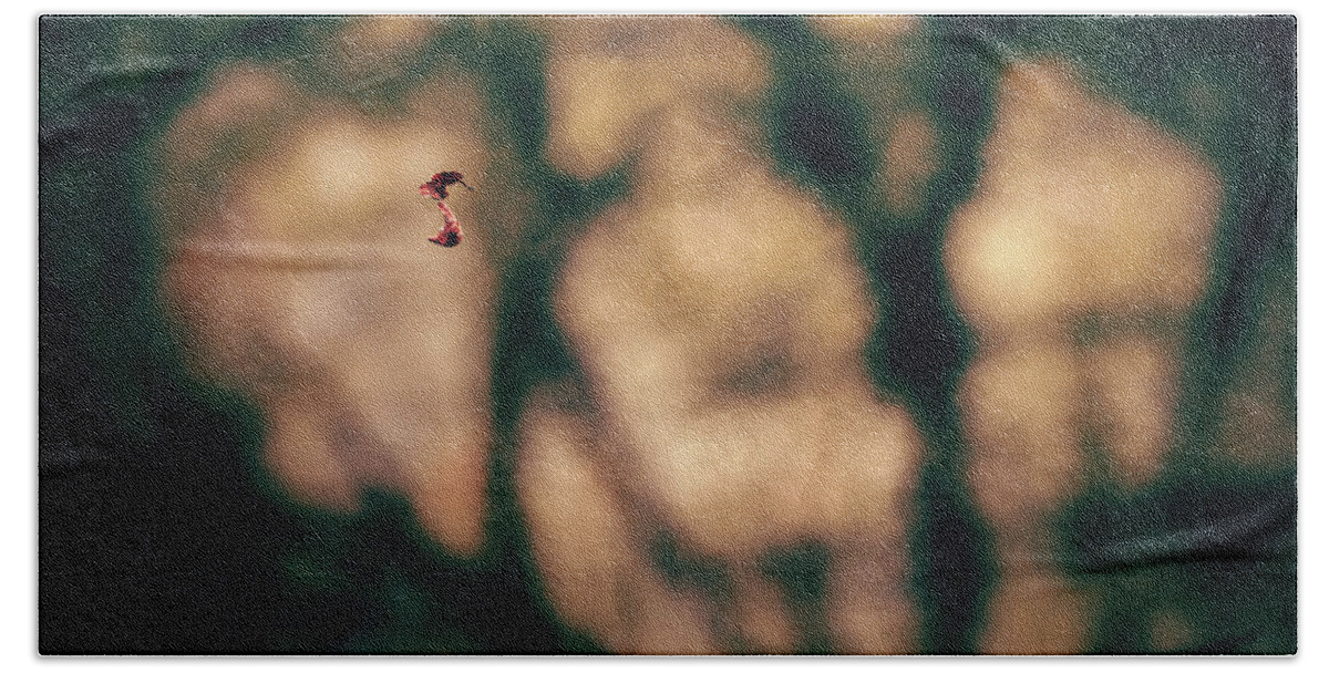 Forest Beach Towel featuring the photograph By a thread by Gavin Lewis