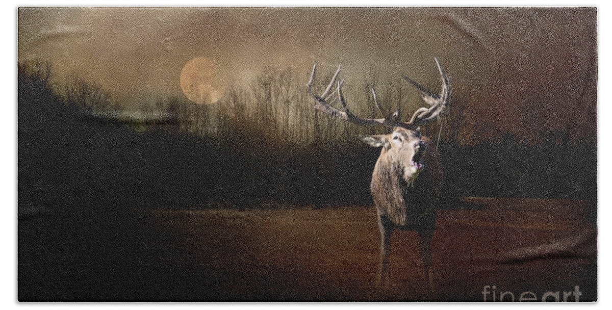 Red Deer Beach Sheet featuring the photograph By the Moonlight by Eva Lechner