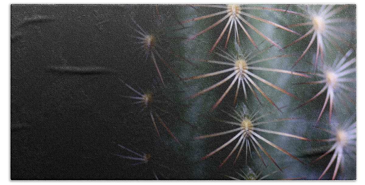 Cactus Beach Towel featuring the photograph Cactus 9536 by Julie Powell