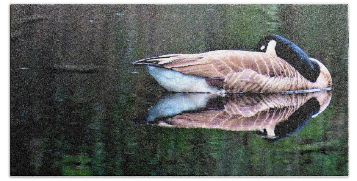Birds Beach Towel featuring the photograph Calm Canada Goose and Reflection by Linda Stern