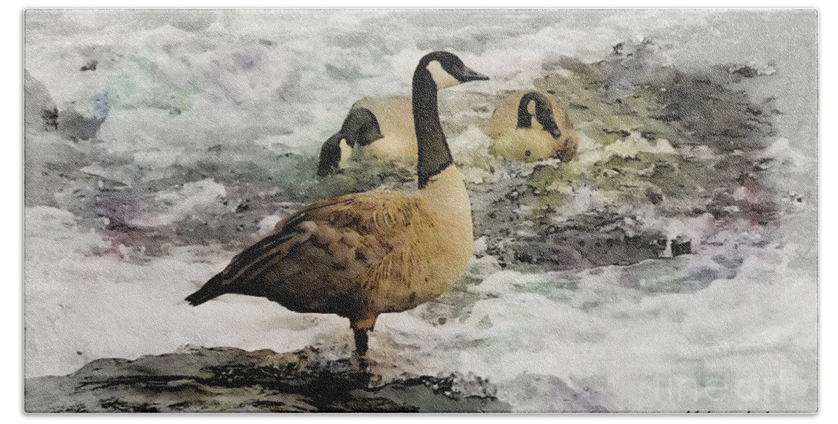 Goose Beach Towel featuring the digital art Canadian Geese by Aurelia Schanzenbacher