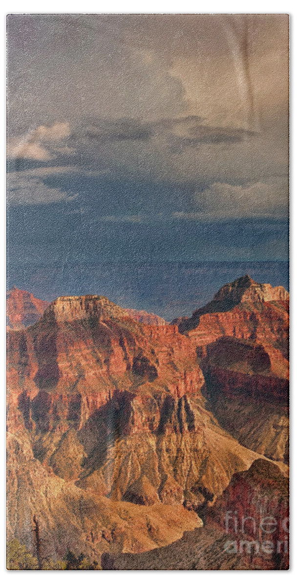 North America Beach Towel featuring the photograph Canyon View North Rim Grand Canyon National Park Arizona by Dave Welling