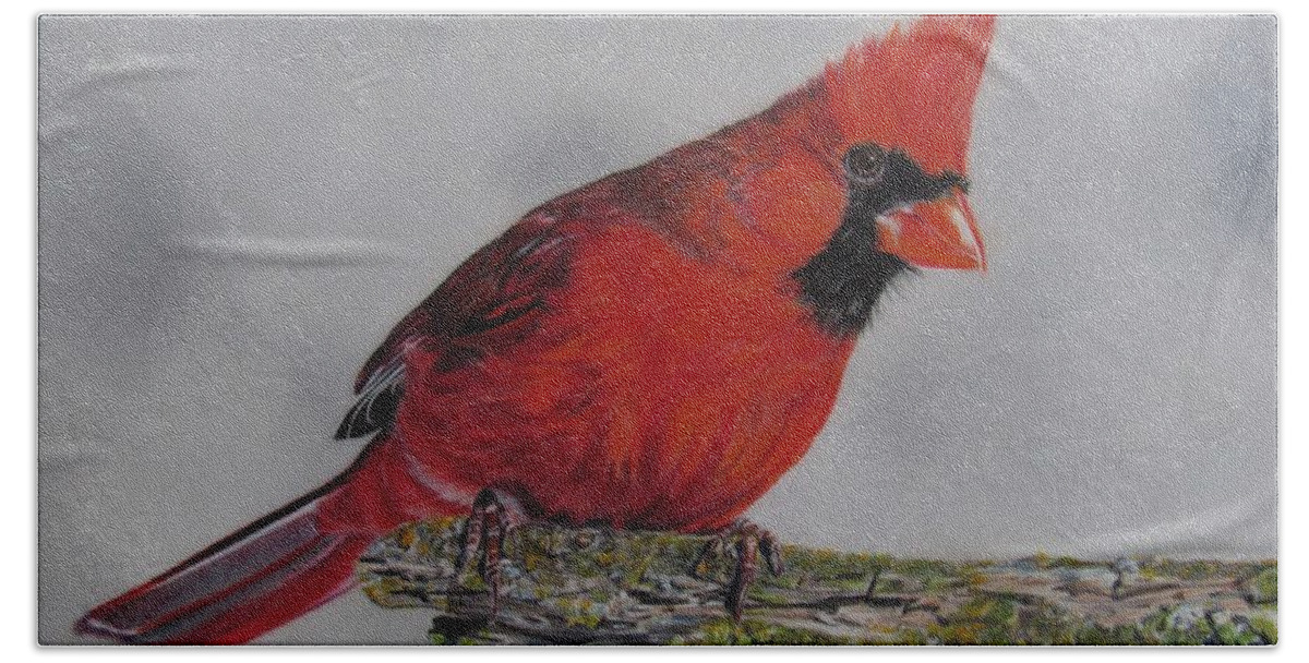 Bird Beach Towel featuring the drawing Cardinal by Kelly Speros