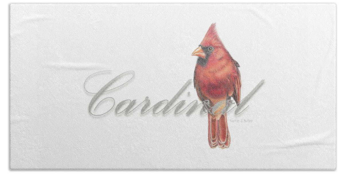 Cardinal Beach Towel featuring the drawing Cardinal - Male Northern Cardinal by Karrie J Butler