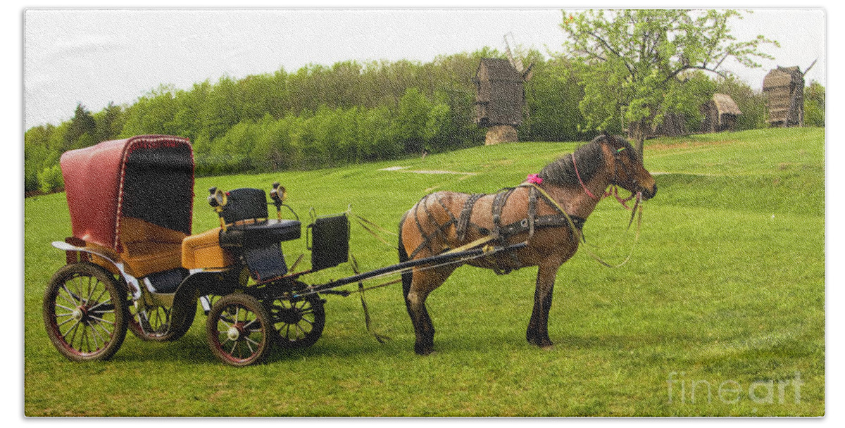 Horse Beach Towel featuring the photograph Carriage with brown horse by Irina Afonskaya