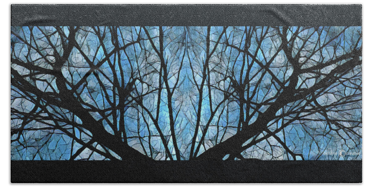 Trees Beach Towel featuring the photograph Cathedral Windows by Tim Nyberg