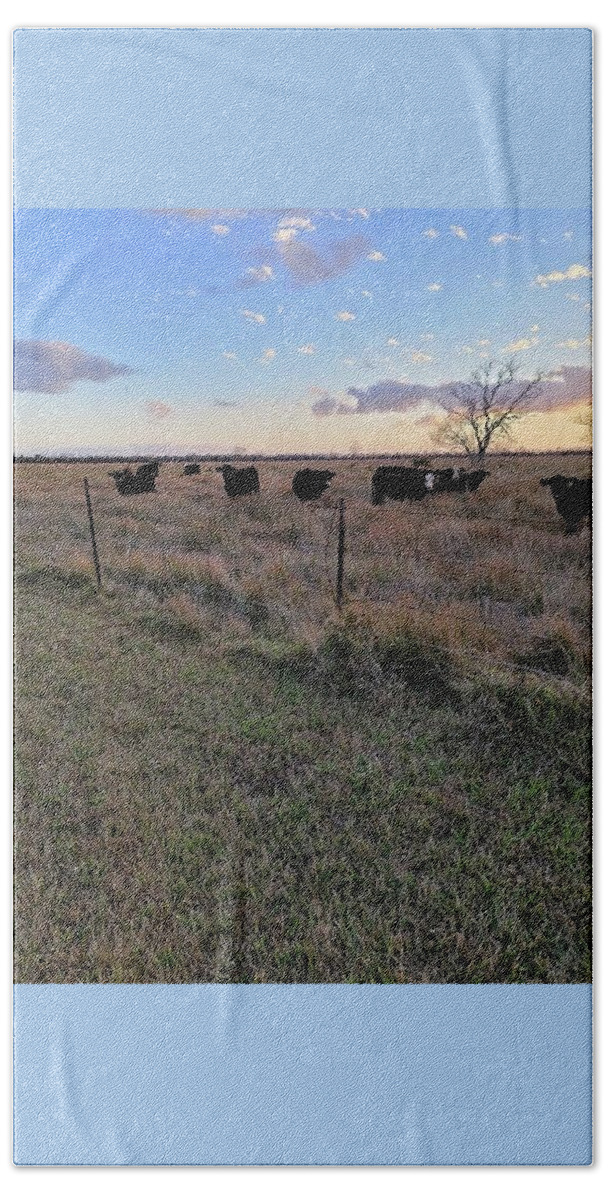 Cattle Beach Towel featuring the photograph Cattle at Sunset by Tambra Nicole Kendall