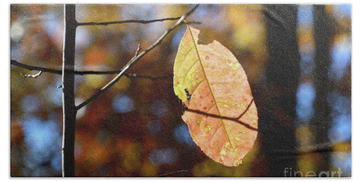 Leaf Beach Towel featuring the photograph Changing Colors of Autumn 3 by Phil Perkins