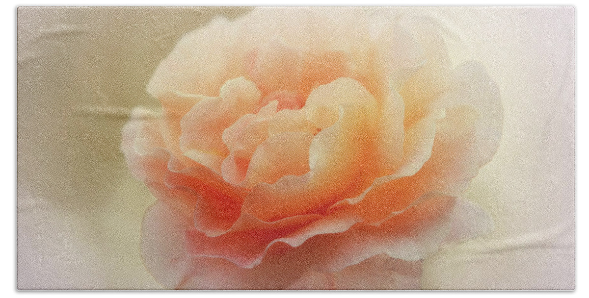 Flowers Beach Towel featuring the photograph Apricot Rose by Elaine Teague