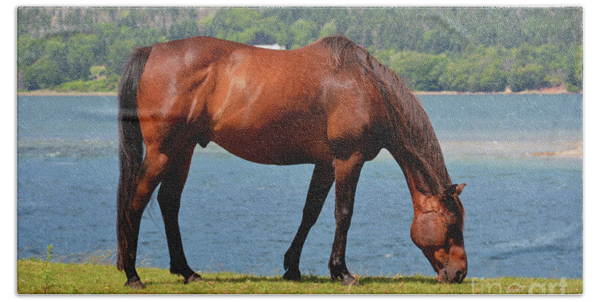 Animal Beach Towel featuring the photograph Chestnut Horse by the Ocean by Elaine Manley