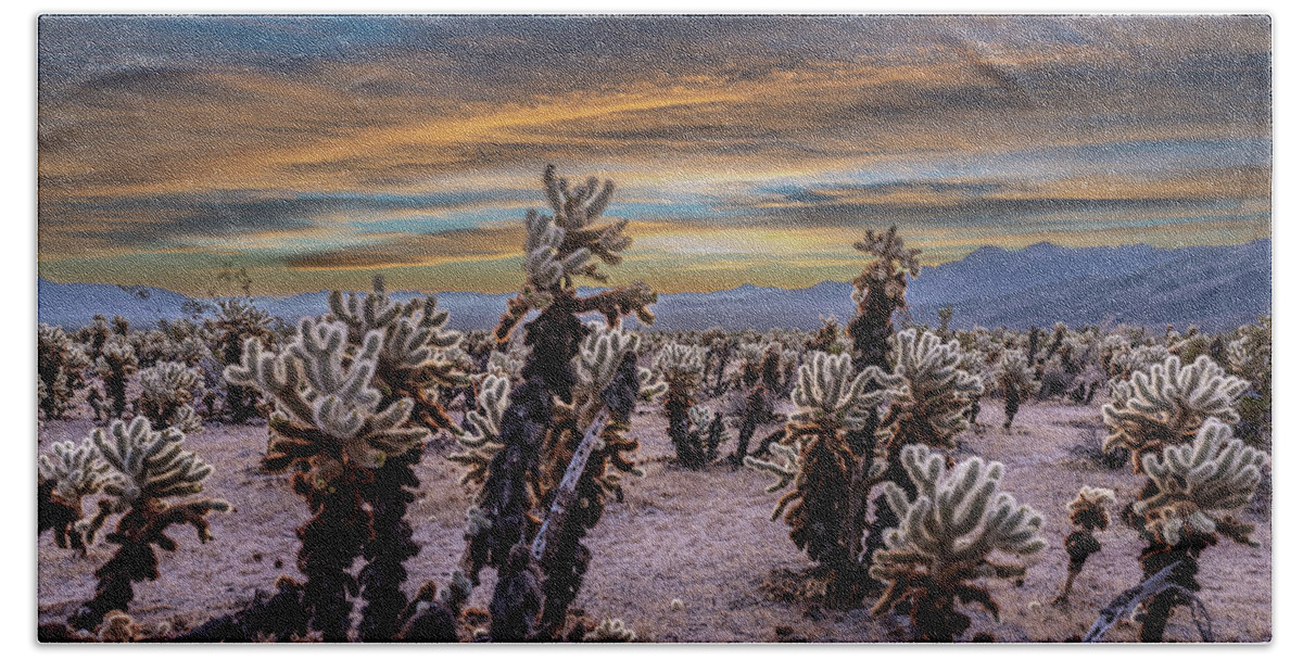 Cholla Beach Towel featuring the photograph Cholla Cactus Jungle by George Buxbaum