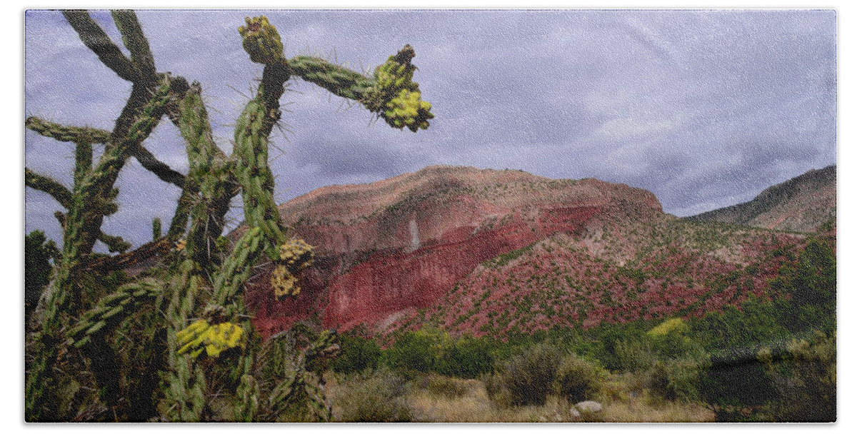 Jemez Mountains Beach Towel featuring the photograph Cholla by Segura Shaw Photography