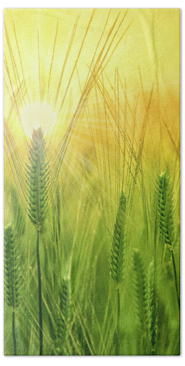 Encourage Beach Towel featuring the digital art Chrisian Get Well I Pray Summer Wheat Field by Doreen Erhardt