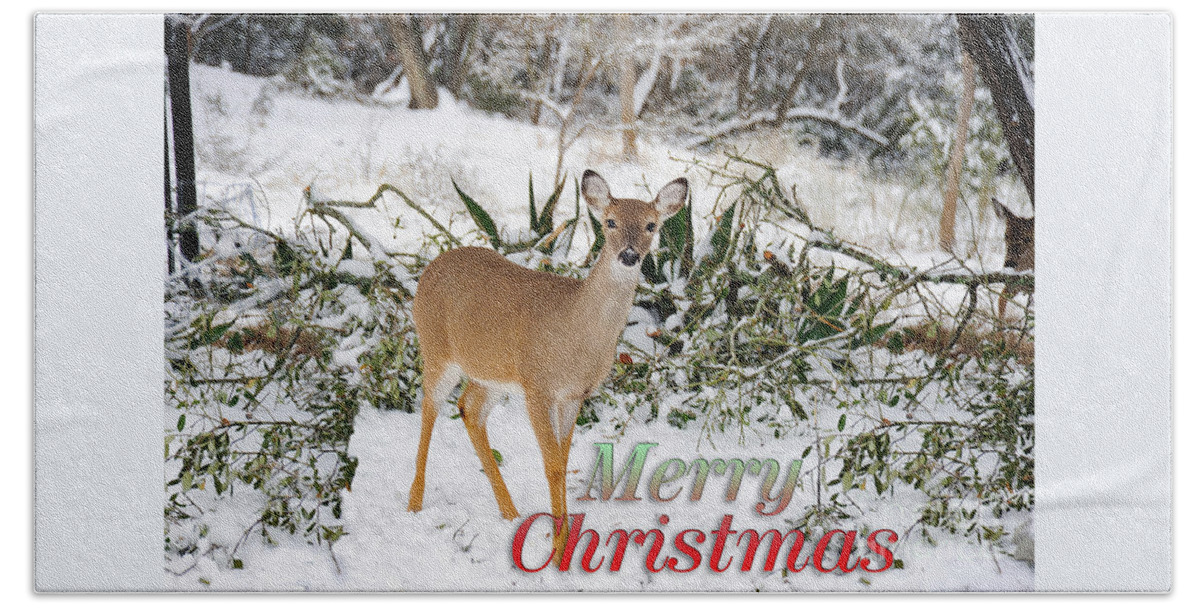 Forest Beach Towel featuring the photograph Christmas doe in the snow by Gunther Allen
