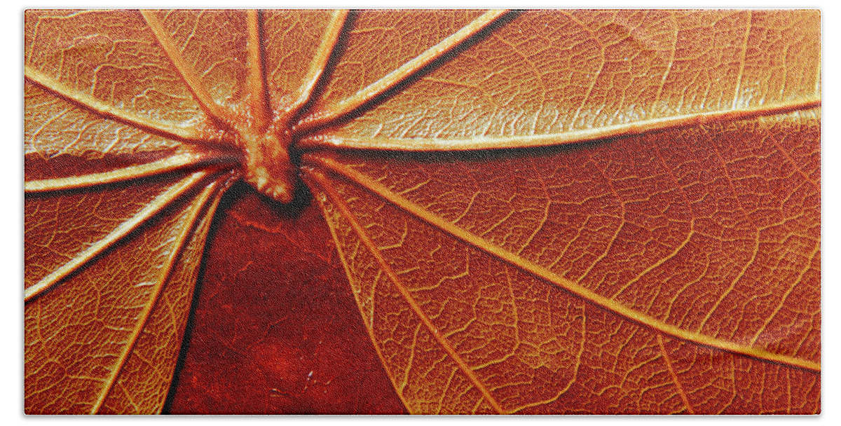 Papyrus Beach Towel featuring the photograph Close up of the red leaf papyrus by Severija Kirilovaite