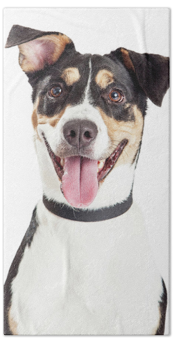 Animal Beach Towel featuring the photograph Closeup of Happy Crossbreed Dog Mouth Open by Good Focused