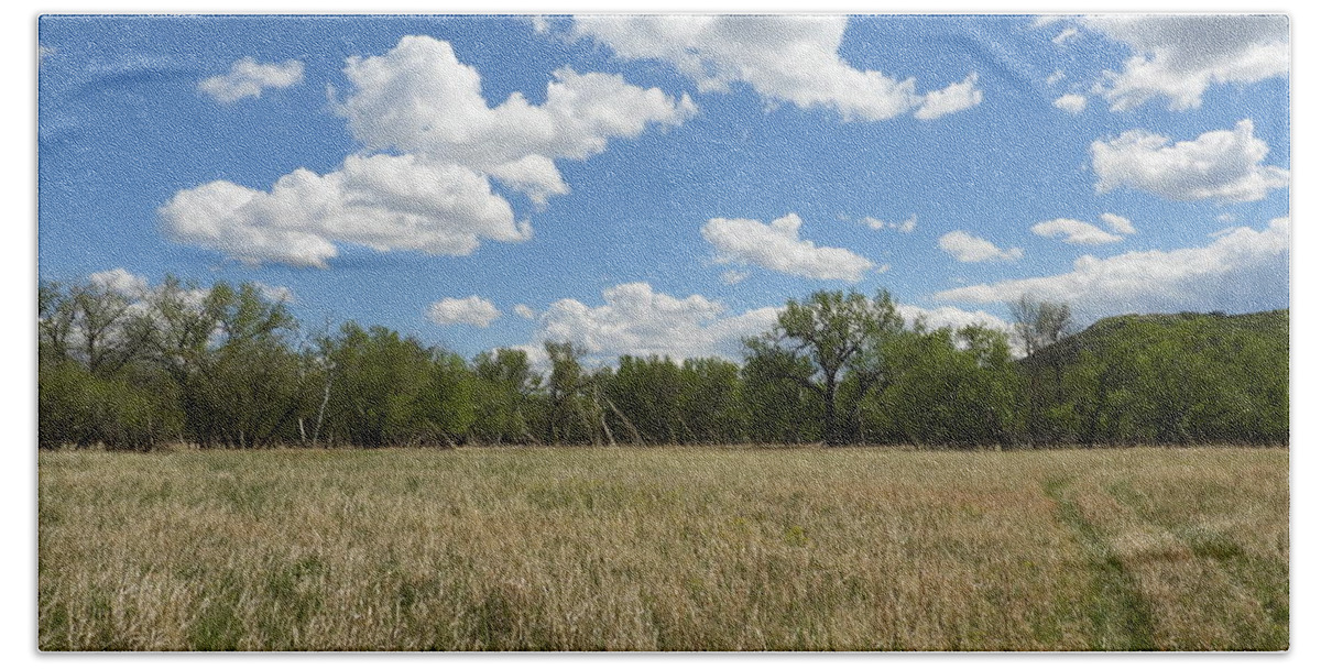 Meadow Beach Towel featuring the photograph Clouds Over The Meadow by Amanda R Wright
