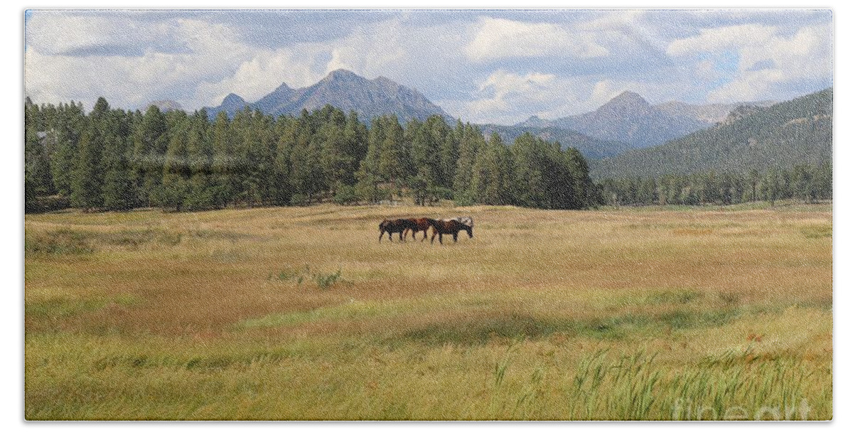 Horses Beach Towel featuring the photograph Colorado Horses by Veronica Batterson