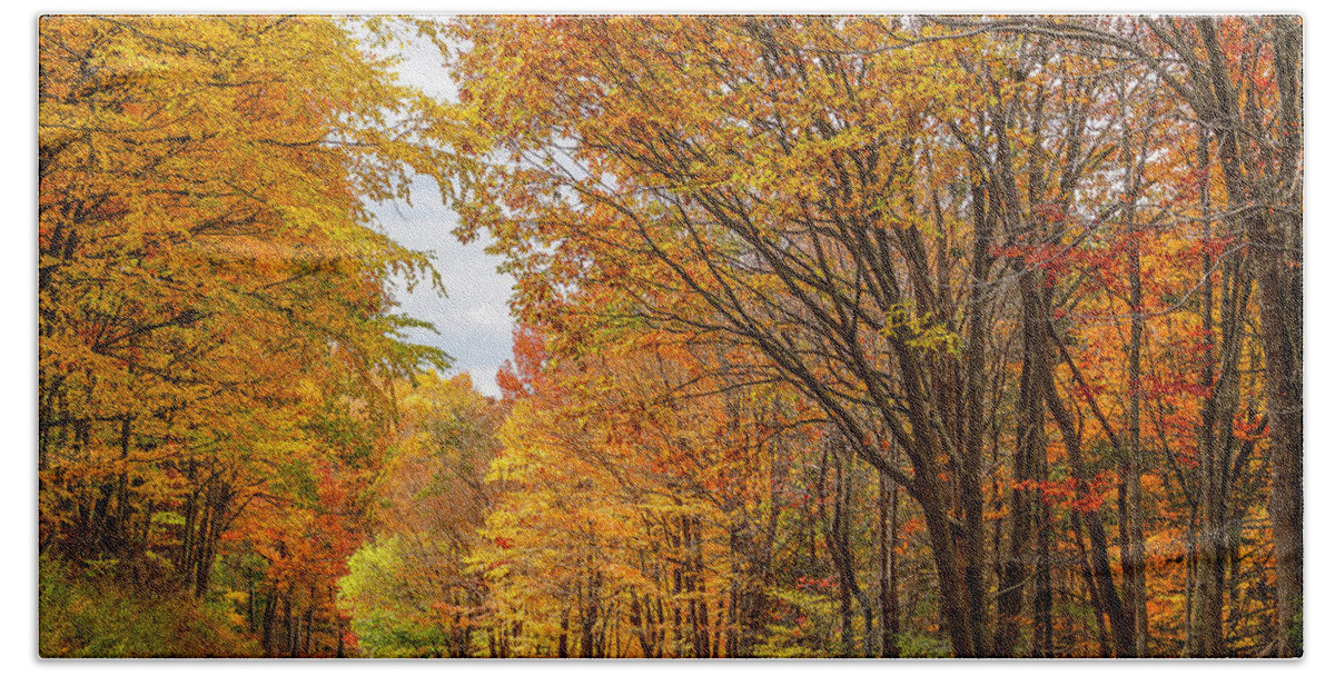 Fall Beach Towel featuring the photograph Colorfall Backroads by Dale R Carlson