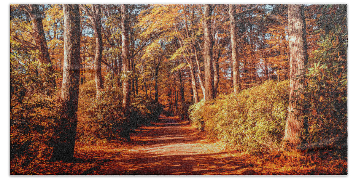 Foliage Beach Towel featuring the photograph Colorful Autumn path in the woods b by Lilia S