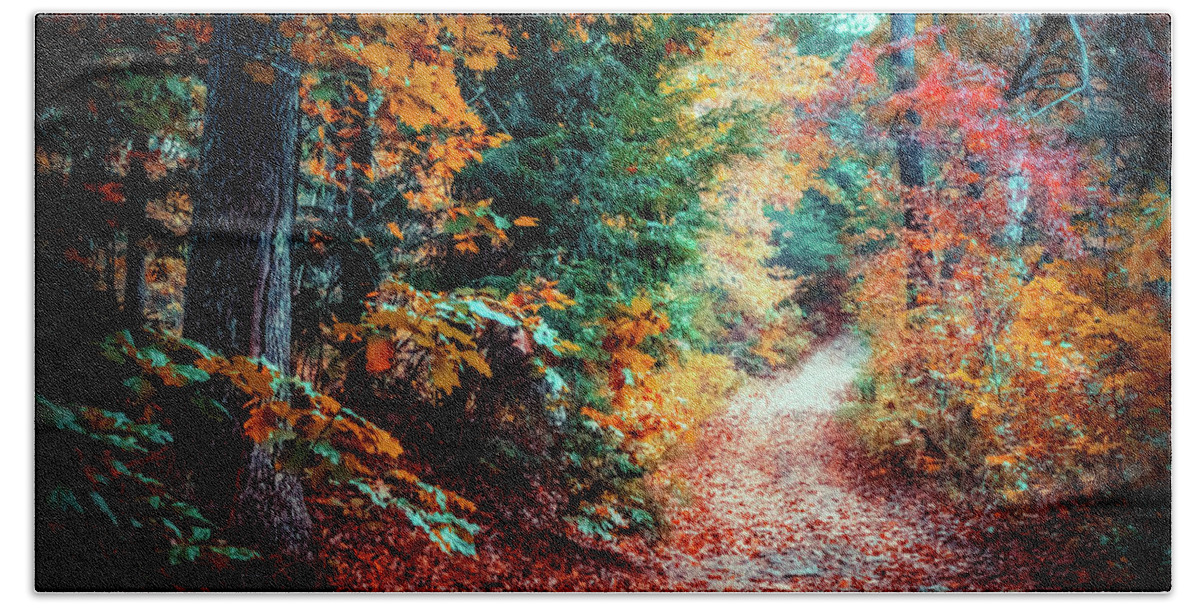 Foliage Beach Towel featuring the photograph Colorful Autumn path in the woods by Lilia S