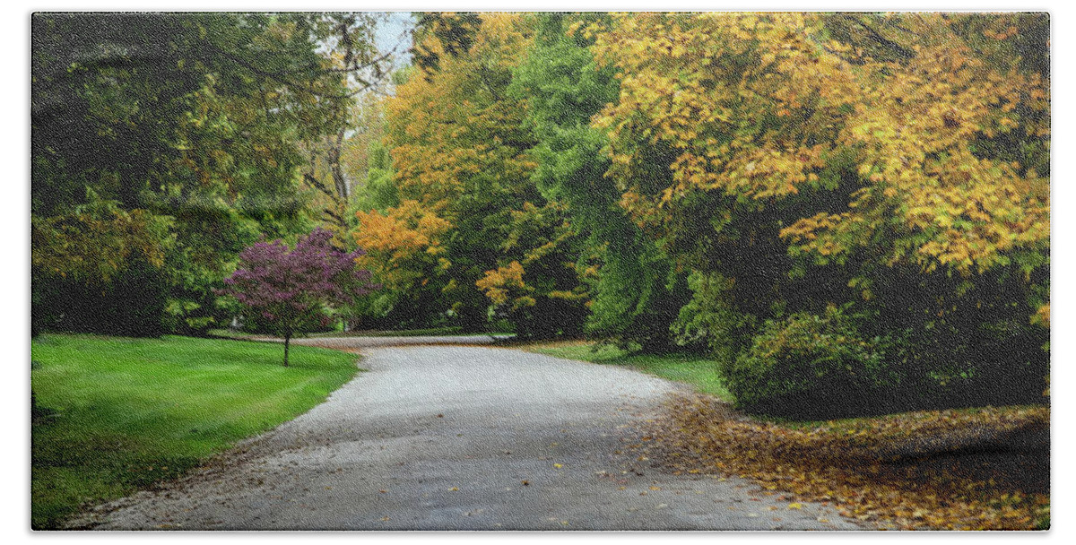 Autumn Beach Towel featuring the photograph Colorful Road by Ed Taylor