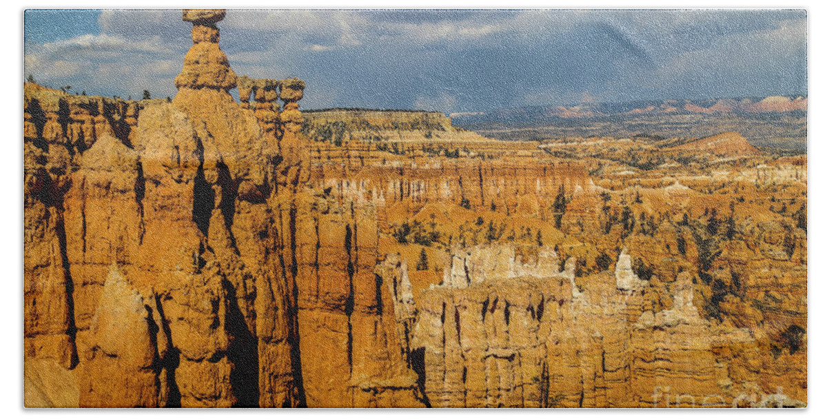 Bryce Canyon Beach Towel featuring the photograph Colors of Bryce Canyon by Erin Marie Davis