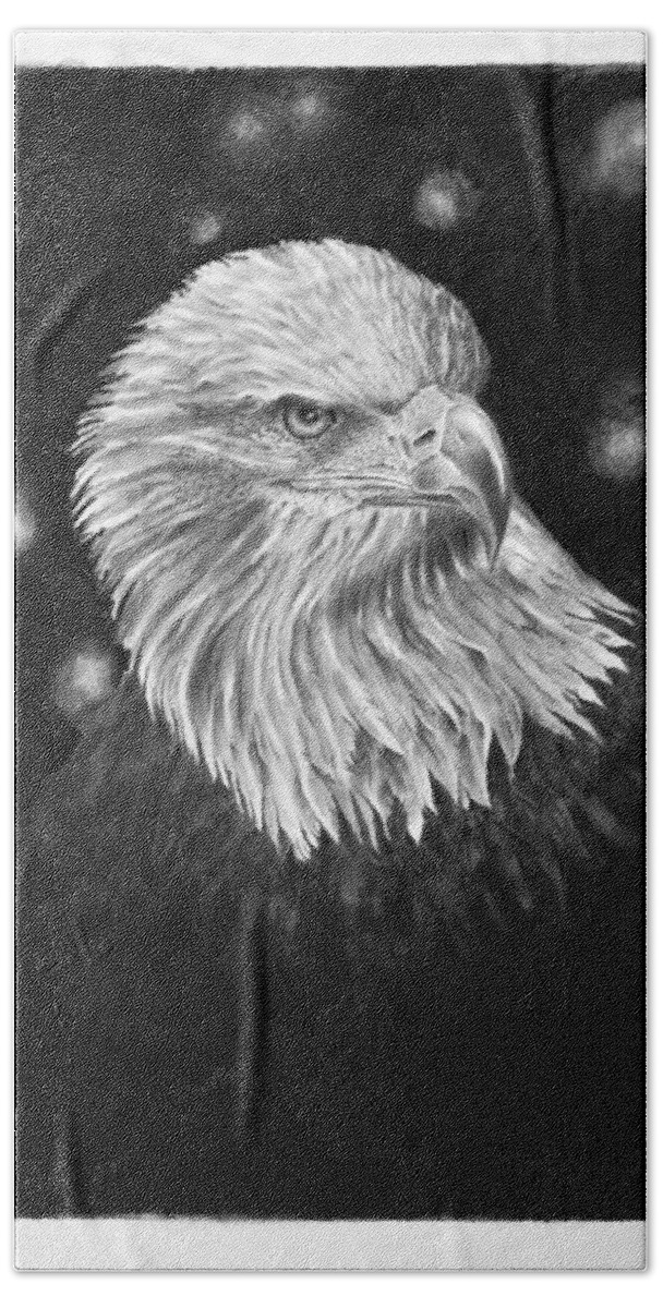 Eagle Beach Towel featuring the drawing Commanding Gaze by Greg Fox