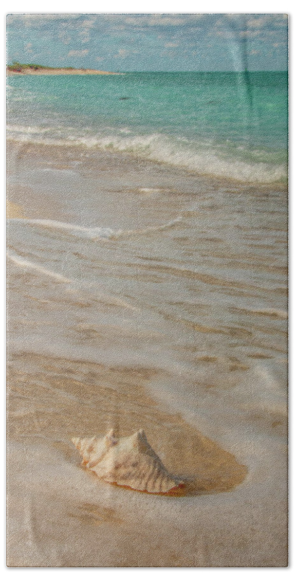 Conch Beach Sheet featuring the photograph Conch Shell on Bush Key 3 by Kristia Adams