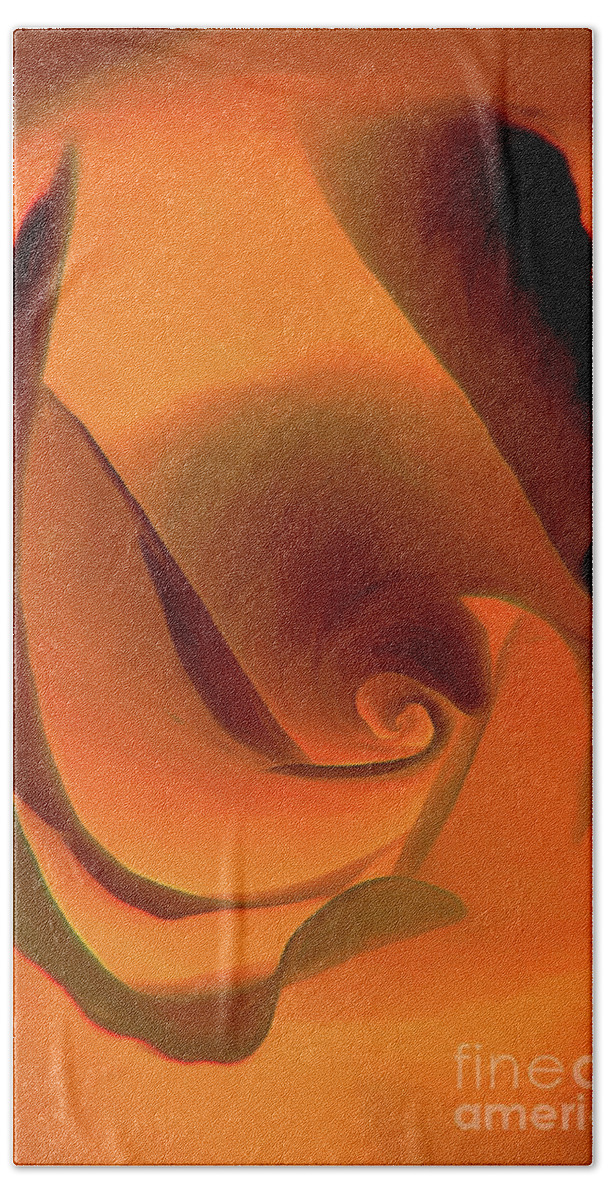Copper Beach Towel featuring the photograph Copper Rose Art by Scott Cameron