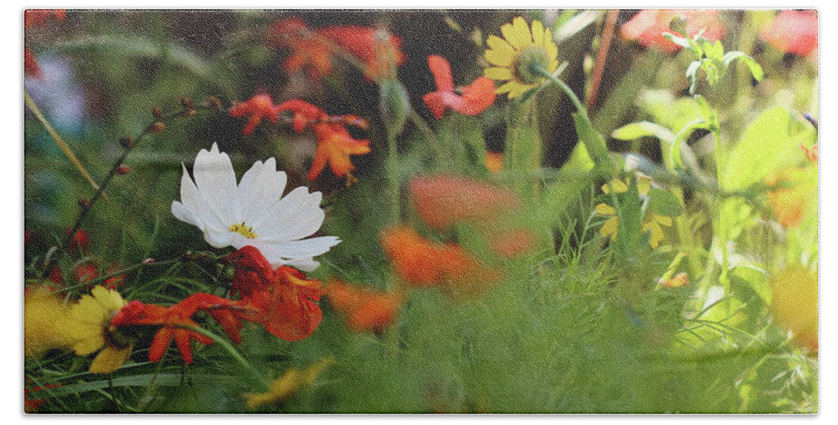 Flowers Flora Wildflowers Beach Towel featuring the photograph Cosmos and Crocosmia by Stephen Melia