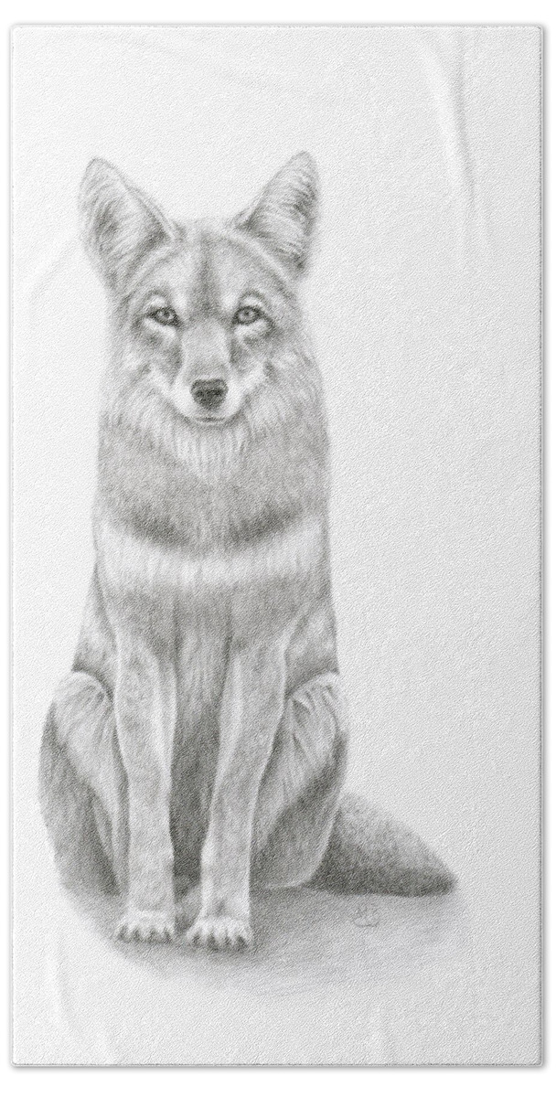 Coyote Beach Towel featuring the drawing Coyote by Monica Burnette