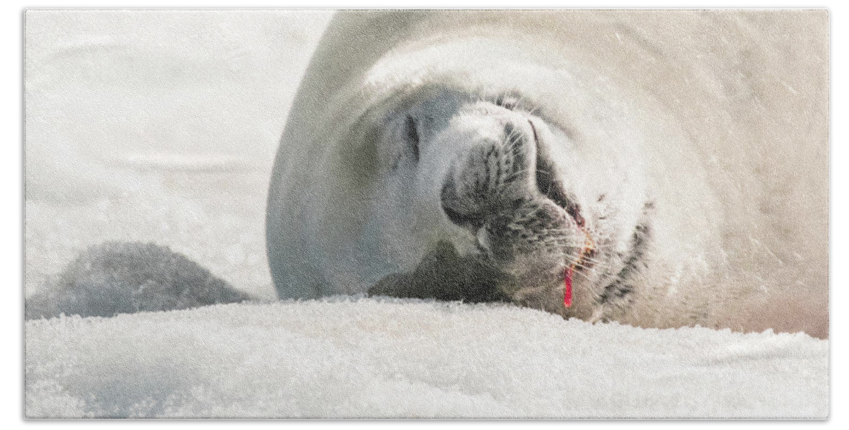 04feb20 Beach Towel featuring the photograph Crabeater Seal Frozen Drool Pile Macro by Jeff at JSJ Photography