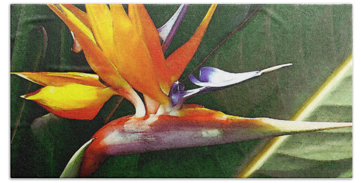 Bird Of Paradise Beach Sheet featuring the photograph Crane Flower by James Temple