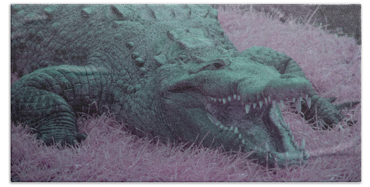 Crocodile Beach Towel featuring the photograph Crocodile in Infrared by Carolyn Hutchins