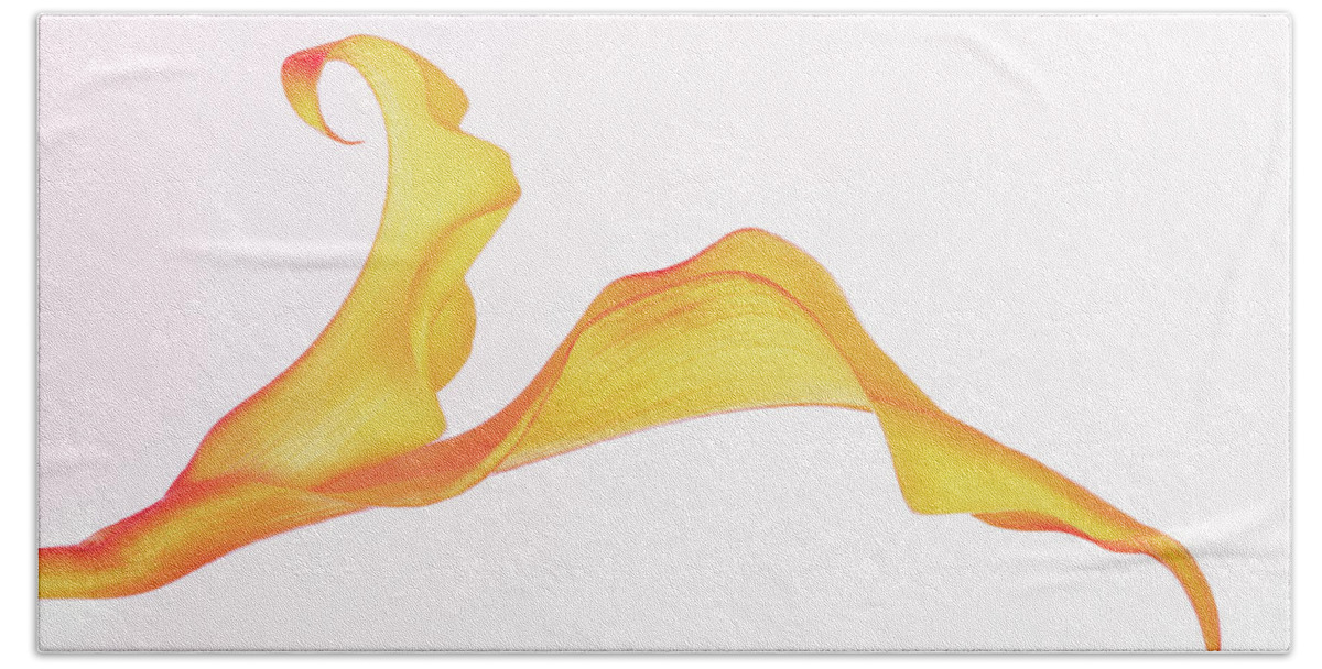 Calla Lily Beach Towel featuring the photograph Curves Of Calla by Elvira Peretsman