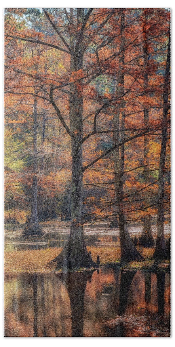 Autumn Beach Towel featuring the photograph Cypress Cove Reflections by Susan Rissi Tregoning