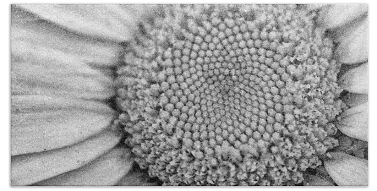 Daisy Beach Towel featuring the photograph Daisy Detail in Black and White by Bob Decker