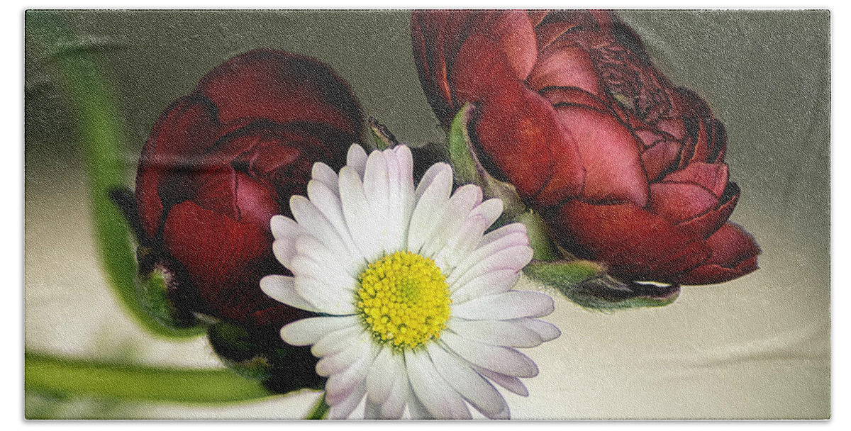 Flowers Beach Towel featuring the photograph Daisy with Persian Buttercups 2 by Wolfgang Stocker