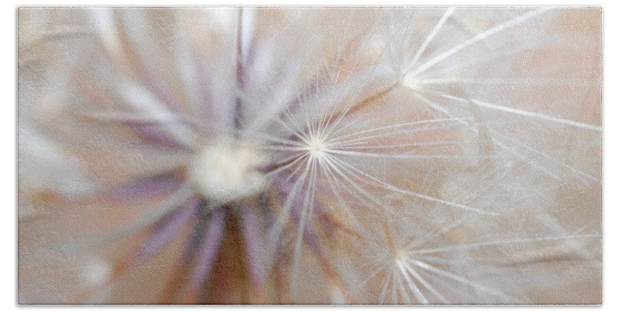 Nature Beach Towel featuring the photograph Dandelion 2 by Amy Fose