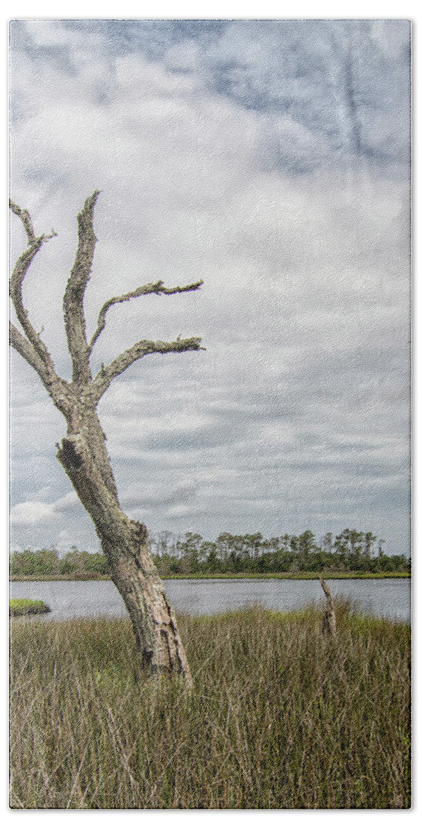 Tideland Trail Beach Towel featuring the photograph Dead Tree In the Marsh Along the Tideland Trail by Bob Decker