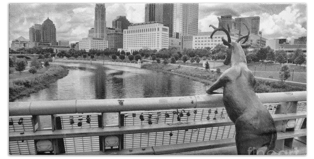 Rich Beach Towel featuring the photograph Deer On The Rich Street Bridge Black And White by Adam Jewell