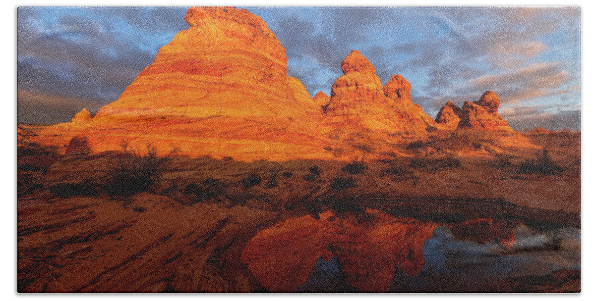 Arizona Beach Towel featuring the photograph Desert Burst by Chad Dutson